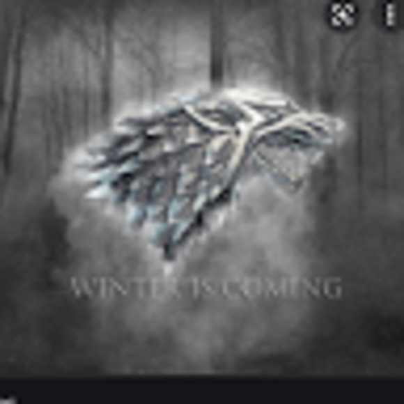 Meet your Posher, Halley - Picture 1 of 1